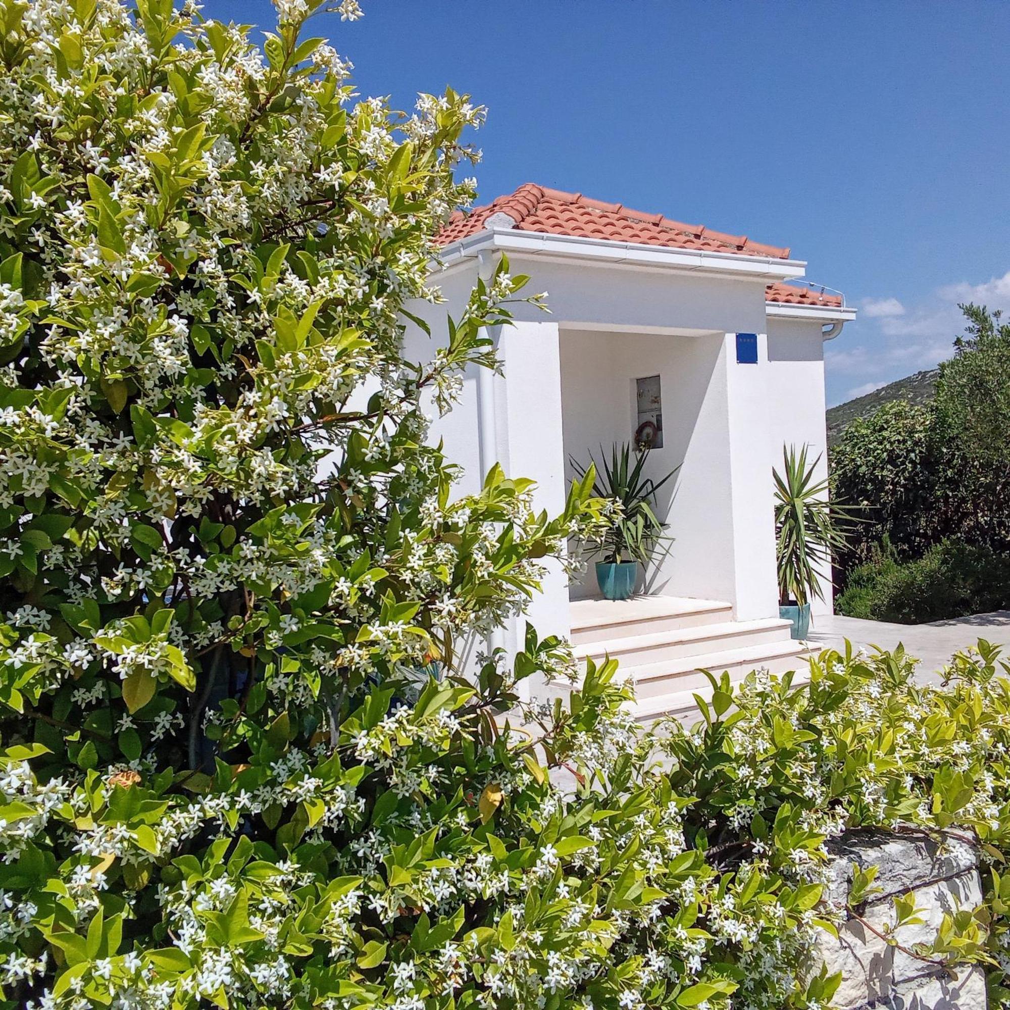 Luxury Villa Sentada Vinisce Exterior photo